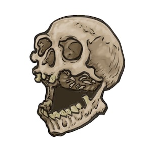 Skull, hard enamel pin
