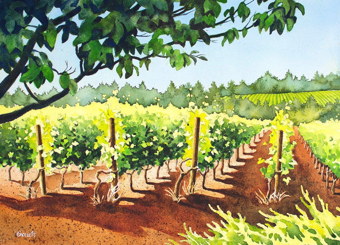 Green Rows Pinot Vineyard Art Print