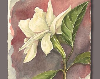 Watercolor Gardenia Painting, 9x12 Unframed Botanical Art