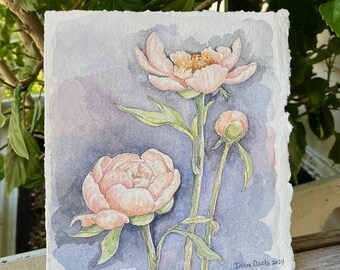Trio of Peonies