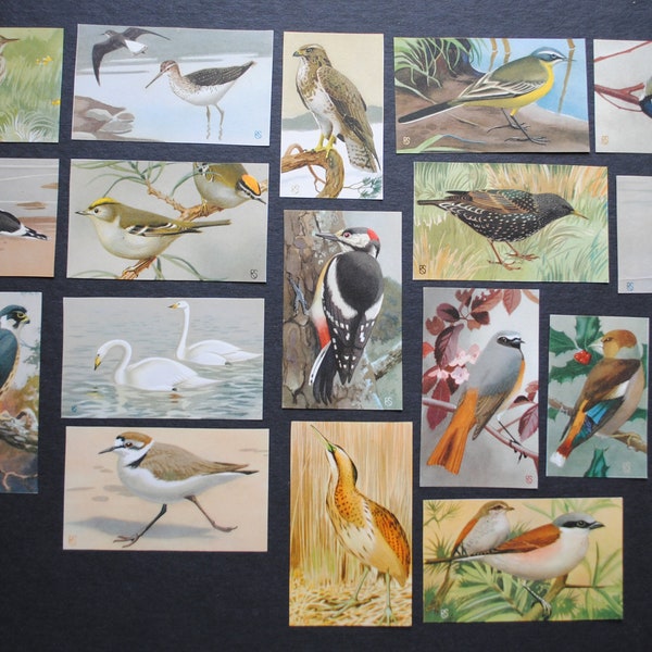 1970's Small Vintage Bird Scraps Ephemera Grab Bag, Ducks, Small Birds etc for Scrapbooking, Collage, Decoupage, Junk Journals, Crafts