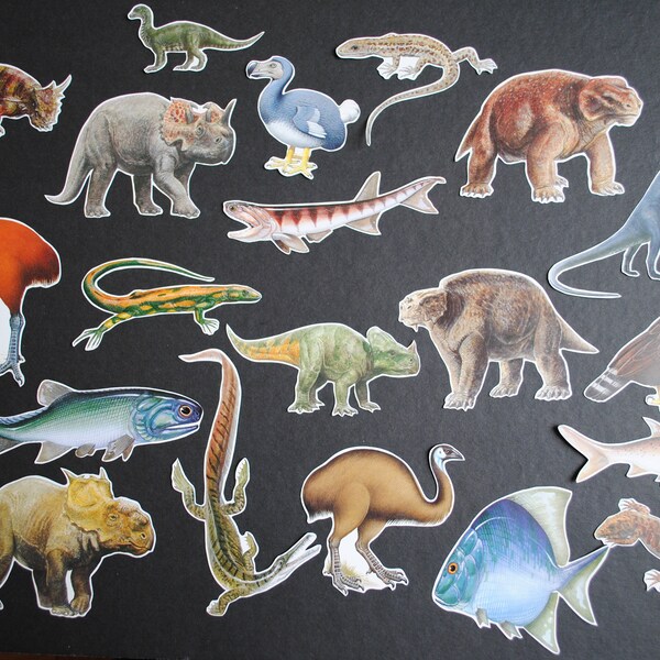 20 Piece Prehistoric Creatures Scraps Grab Bag for Scrapbooking, Collage, Journalling, Snail Mail, Mail Art, Decorated Envelopes