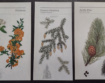 16 Vintage Trees and Shrubs Paper Pack of Ephemera for Junk Journals, Scrapbooks, Collage, Decoupage, Paper Crafts
