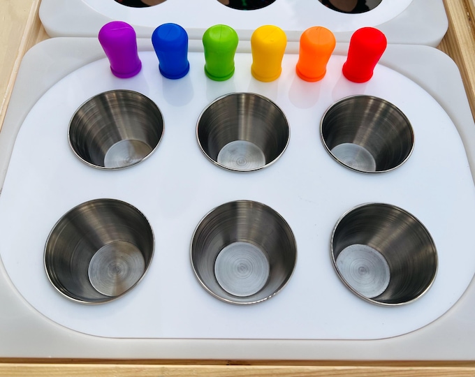 Acrylic Sensory Bin Insert with Cups & Droppers