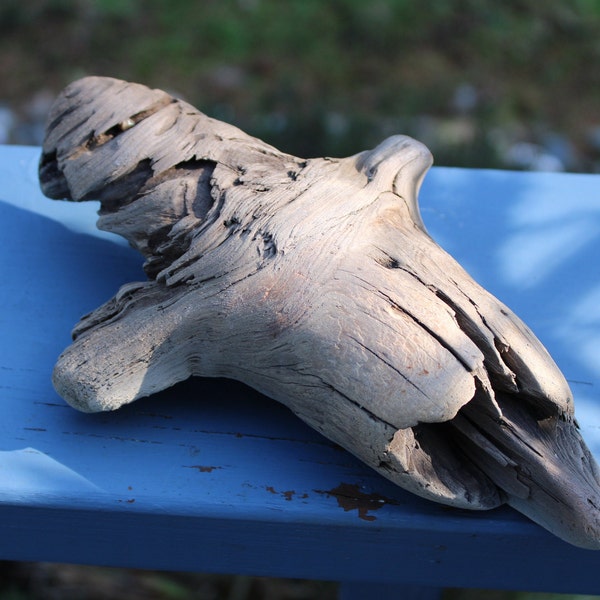 Driftwood, Drift Wood, Wood, Artistic wood, wood knot, wood branch, tree