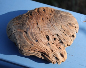 Driftwood, Drift Wood, Wood, Artistic wood, wood knot, wood branch, tree , Artist Wood, Pacific ocean, Oregon