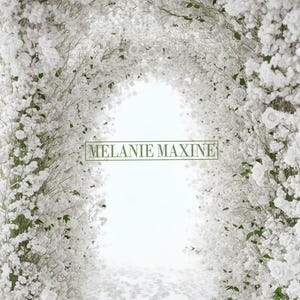 Pode incluir: Um arco de flores brancas e vegetação, com o texto "MELANIE MAXINE" num retângulo verde. O caminho é ladeado por flores brancas, criando um efeito de túnel. Pétalas brancas cobrem o chão.