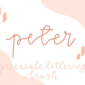 Pinceau Peter Procreate