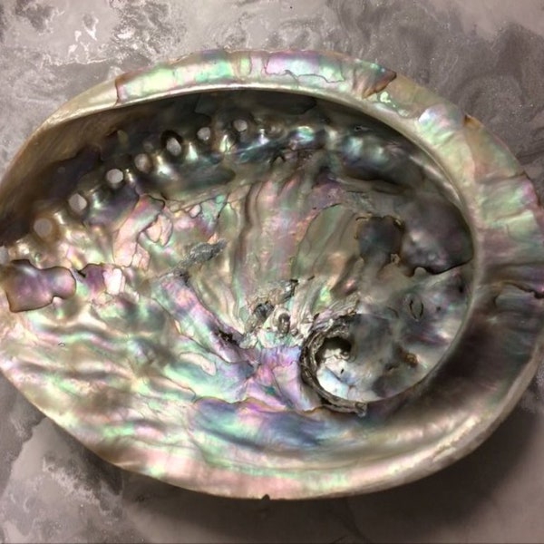 Natural Abalone Shell for Smudging, Iridescent Ritual Smudge Bowl, Holistic Healing & Energy Cleansing, Authentic Oceanic Decor"