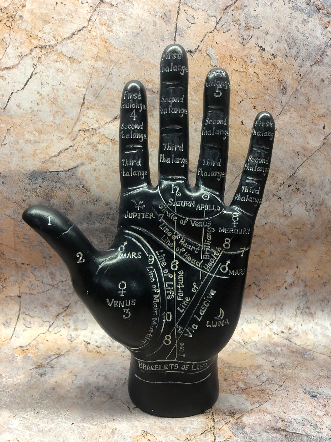 Black Palmistry Hand Standing Palm Reading Home Decor - Etsy