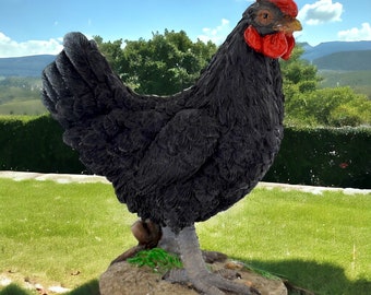 Rustic Farmhouse Black Hen Figurine – Handcrafted Resin Chicken, Realistic Country Kitchen Decor, Charming Barnyard Animal Statue