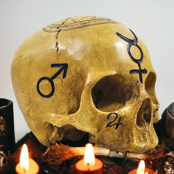 Ancient Mystique Witchcraft Skull | Wiccan Pagan Altar Sculpture | Esoteric Occult Decor | Symbolic Ornament | Unique 18cm Spiritual Gift