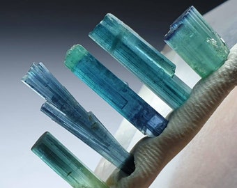 Beautiful indicolite tourmaline spray shape small crystals