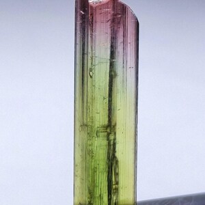 Puede incluir: Cristal de turmalina multicolor. La parte superior es rosa, pasando a púrpura y luego a verde en la base. El cristal translúcido muestra estrías internas visibles. Una gema natural.