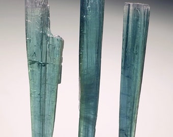 Puede incluir: Tres cristales de turmalina azul verdoso, cada uno con un patrón estriado distintivo, se muestran sobre una superficie blanca.