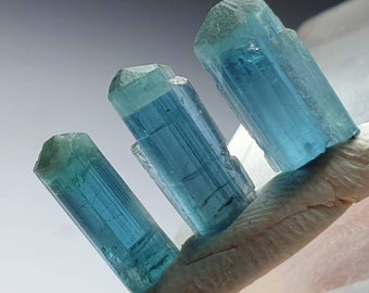 Puede incluir: Tres cristales de aguamarina azules sobre una superficie blanca. Los cristales son largos y delgados con una punta puntiaguda. Son translúcidos y tienen un color azul claro.