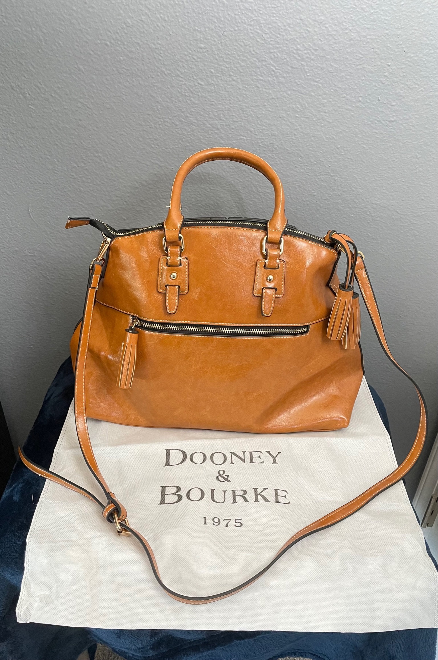 Dooney & Bourke Florentine Satchel X 