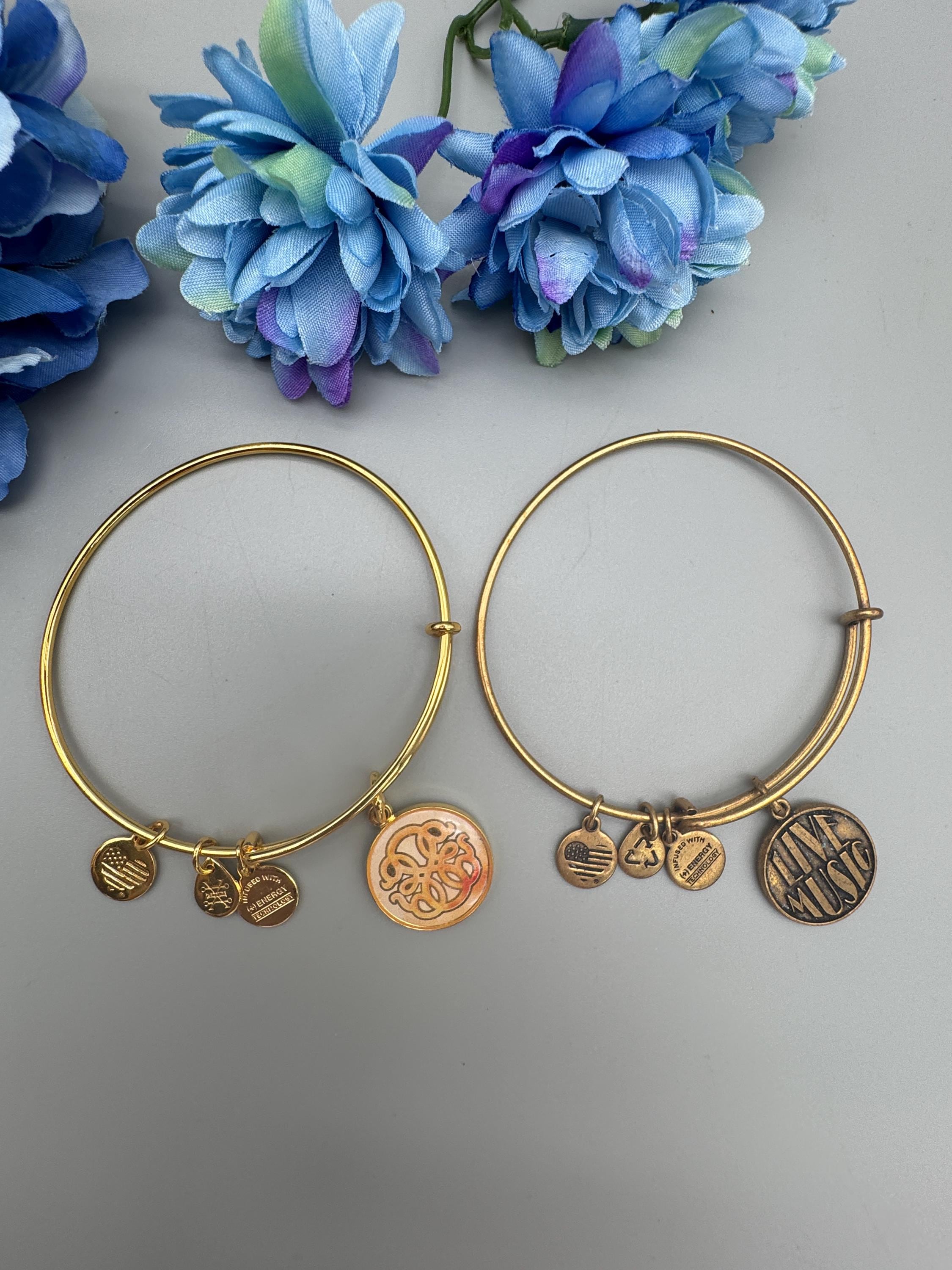 Alex and Ani Bracelets Path of Life and Live Music