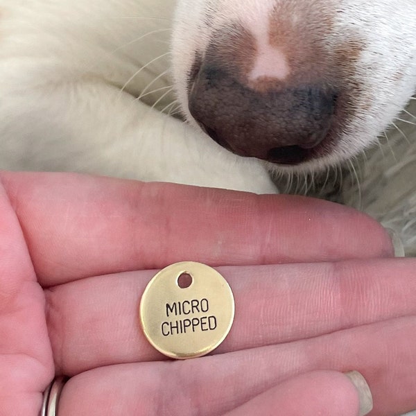 Microchipped Dog Tag Collar Charm - Personalized Dog Tag - Cat Collar Charm - Chipped Dog - Cat Tag - Medical Alert - Service Dog - Diabetic