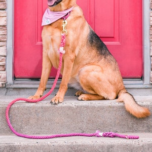 Hundeleine Ombré Lila und Koralle aus Baumwolle - Candy Coral - Hundegeschenk - Geschenk für Sie - Hundeliebhaber Geschenk - Hochzeitsleine