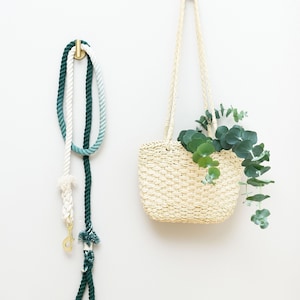 Rope Dog Leash Ombré Green Cotton Leash - Wild Meadows -  Lime Cream - Dog Accessory - Dog Lover - Wedding Leash - Dog Leash Rope