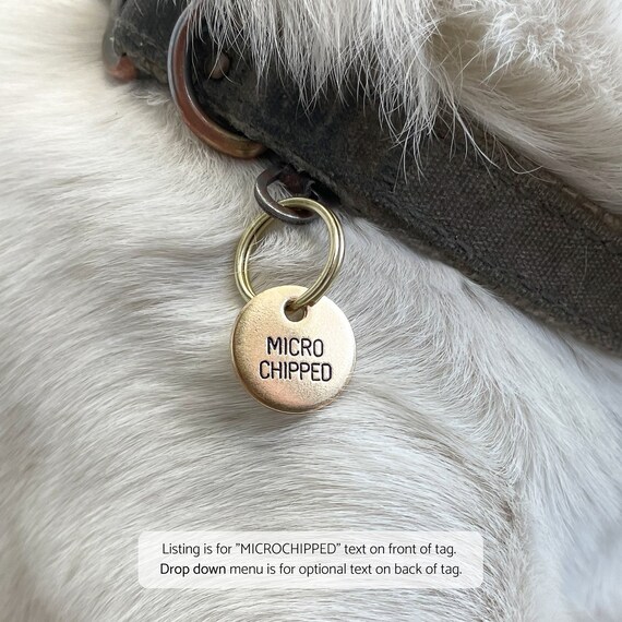 Microchipped dog tag hot sale