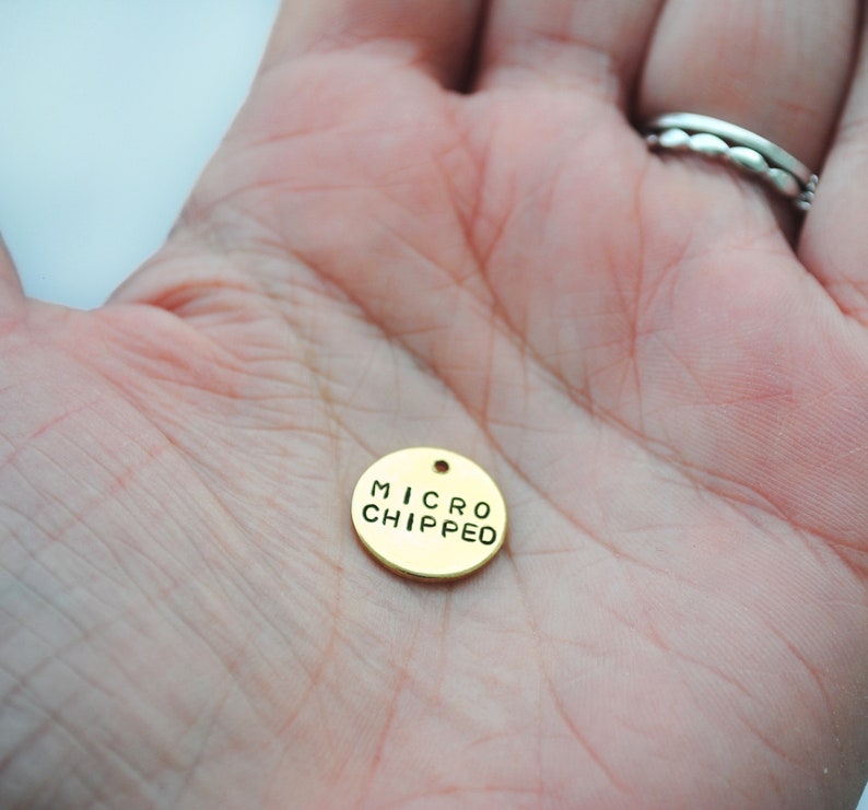 Microchipped Hand Stamped Dog Collar Charm Dog Tag Cat Etsy