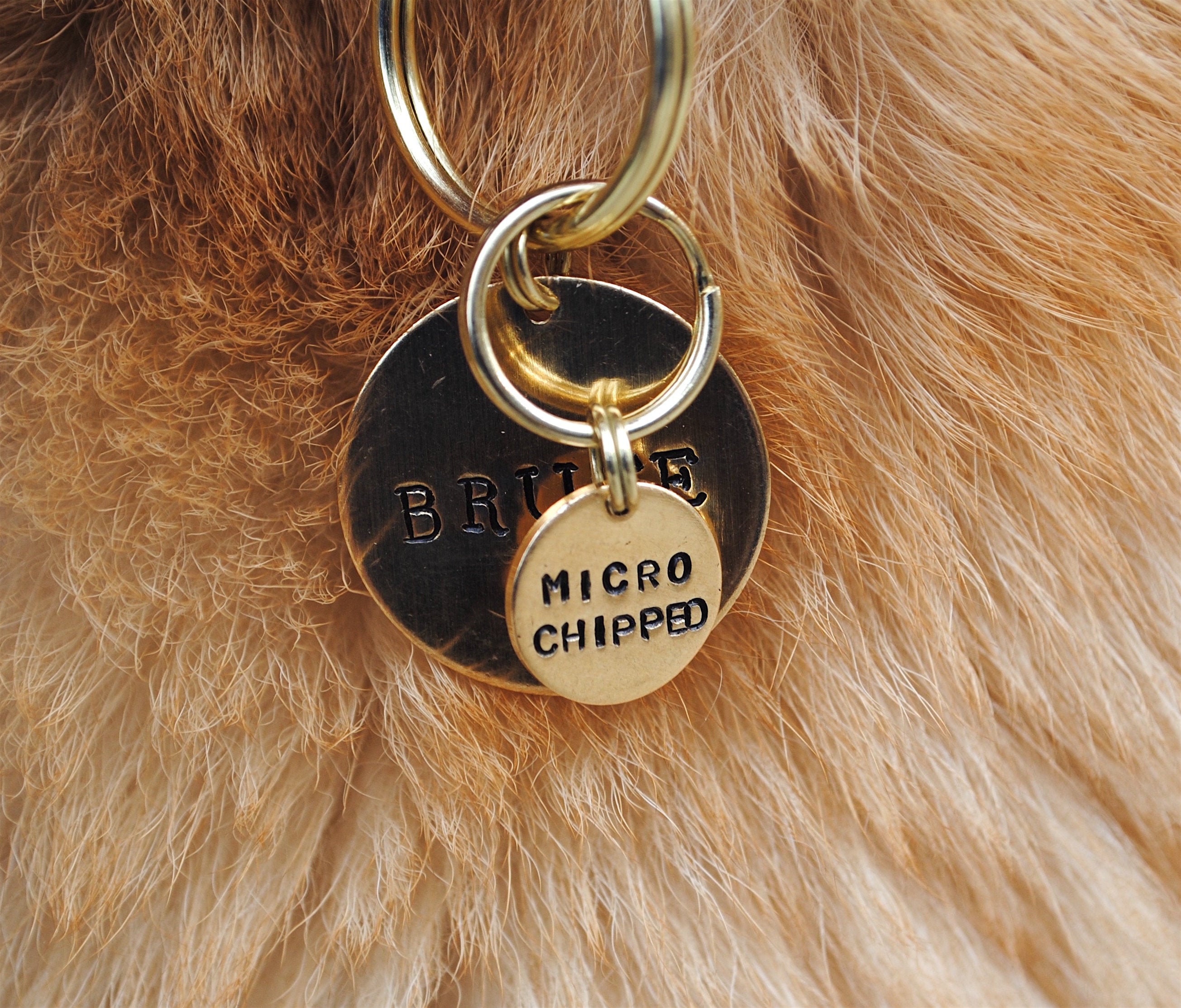 Charme de Collier Chien Estampillé à La Main Micropucé - Plaque d'identité Charme Chat Cadeau Pour A