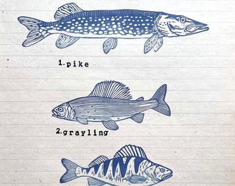 Fish rubber stamps, fish art print, fishes print, river fish art stamps, underwater art, sea food, fish lover gift