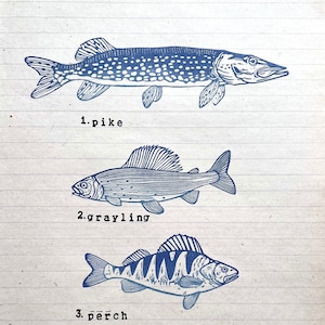 Tampons en caoutchouc de poisson, impression d'art de poisson, impression de poissons, tampons d'art de poissons de rivière, art sous-marin, fruits de mer, cadeau d'amant de poisson