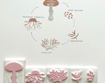May include: A diagram illustrating the life cycle of a mushroom, showing the stages of fruitbody, spore release, germination, mycelium, and primordia formation. The diagram is accompanied by five pink rubber stamps depicting each stage of the life cycle.