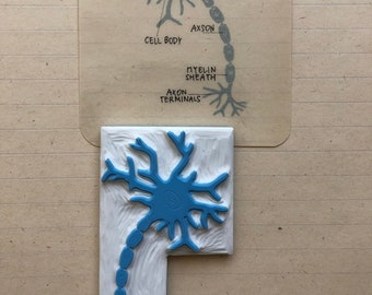 Neuron cell structure, human anatomy art, nerve cell diagram, educational stamp, montessori inspired, hand carved rubber stamp