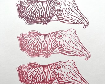 May include: Three red and white line drawings of cuttlefish, each with a different pose. The cuttlefish are facing to the right and have a detailed, intricate design.