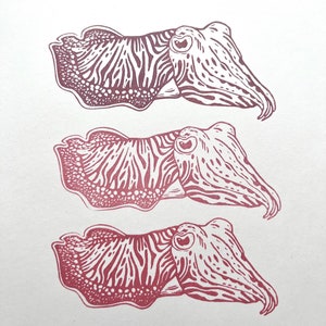 Die Tintenfische Stempel, Meeresweichtiere, Kopffüßer Kunst, Meeresleben Kunst Stempel, Meeresbiologie, Stoffdruck, wilde Briefmarken, nautische Kunst
