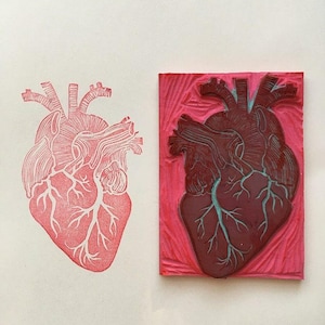 Anatomisches menschliches Herz handgeschnitztes Stempelgummi, Geschenk für Kardiologen, Medizinkunst, Linoldruck, Linolstempel, Geschenk für Kardiologen
