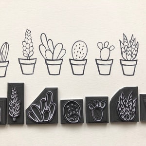 cactus, sello de cactus, juego de sellos de goma de cactus de 6 sellos de impresión botánica de cactus, planta suculenta, impresión, botánico, mini juego de sellos