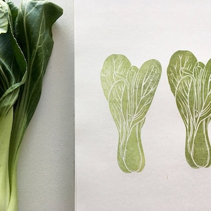 Bok choy / pak choi tampons sculptés à la main / tampon botanique végétal / tampons sauvages / nourriture
