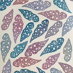 Die Begonia maculata Blatt , Stempel Begonia maculata, Pflanzen Kunstdruck, botanische Kunst,