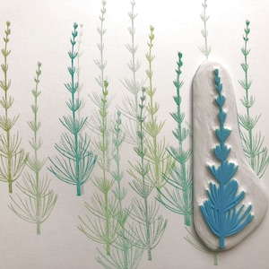 Il timbro di gomma intagliato a mano di equiseto di campo, francobolli botanici di equiseto comune, arte delle erbe, erbe aromatiche, arte delle erbe, francobolli selvatici, arte botanica