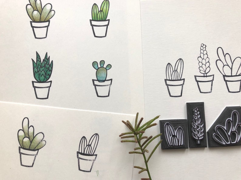 cactus, cacti stamp, cactus rubber stamp set of 6 cactus botanical print stamp, succulent plant, print, botanic, mini stamp set image 3