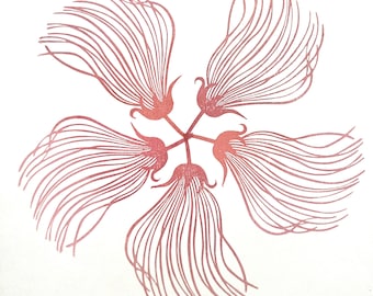 May include: A stylized illustration of a pink flower with five petals, each with a delicate, feathery texture. The flower is symmetrical and has a central point where the petals meet.