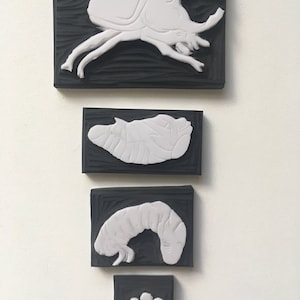 Ensemble de timbres de cycle de vie Beetle sculpté à la main / inspiré de montessori