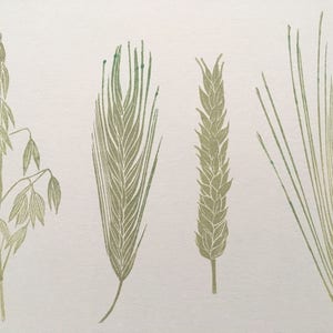 Botanische plant met de hand gesneden stempels, granenspecimens, montessori, grassen, eten, wilde stempel, takje, scrapbooking, stempelkunst
