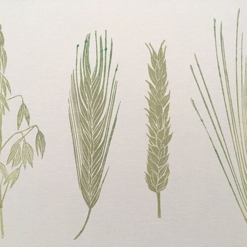Botanical plant hand carved rubber stamps, cereals specimens, montessori, grasses, food, wild stamp, twig, scrapbooking, stamp art