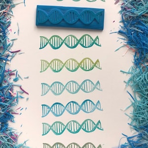 La estructura del ADN, sello educativo, inspirado en montessori, sello de goma tallado a mano, anatomía, waldrof, biología molecular, scrapbooking,