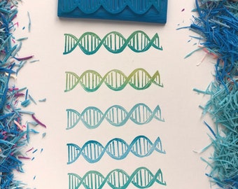 The DNA structure, educational stamp, montessori inspired, hand carved rubber stamp, anatomy, waldrof, molecular biology, scrapbooking,