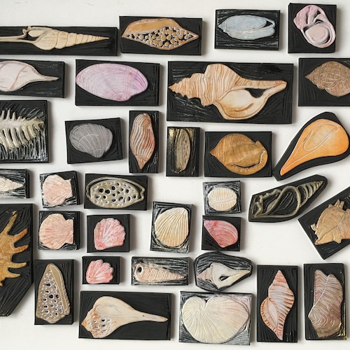 Sea shell from around the world hand carved stamp/ seashell stamps
