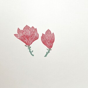 May include: Two red magnolia flowers with green stems on a white background.