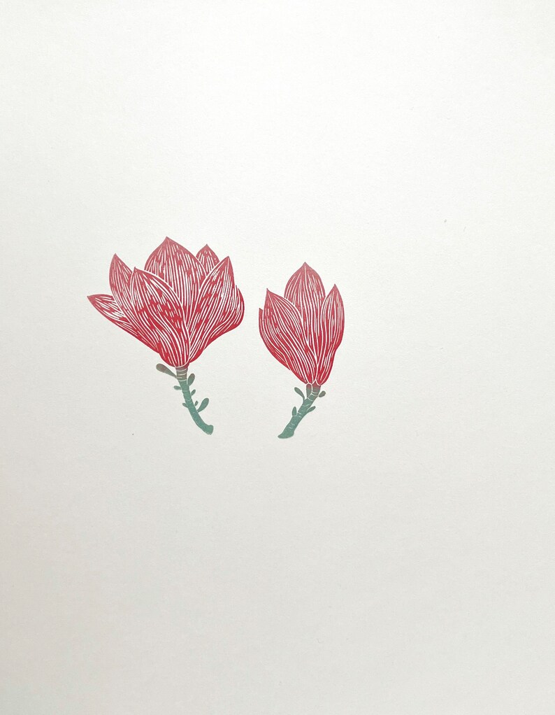 May include: Two red magnolia flowers with green stems on a white background.