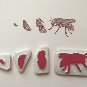 L'ensemble de timbres du cycle de vie Honey Bee, tampon en caoutchouc, sculpté à la main, inspiré de Montessori, durée de vie des insectes, art de l'abeille